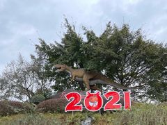 -自贡恐龙博物馆