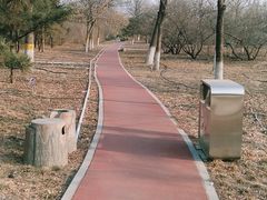 -绿堤公园