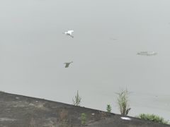 -钱塘江大桥