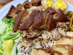 -瑞霖·隆江猪脚饭