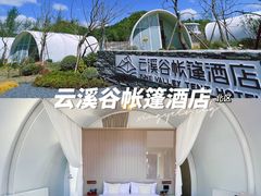 -贵州百里杜鹃风景名胜区