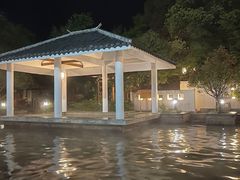 -深业半汤御泉庄温泉