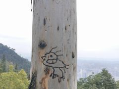 -味子夫鸡柳(解放碑总店)