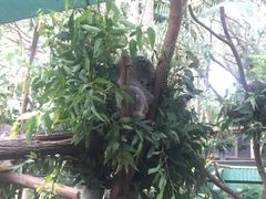 -可伦宾野生动物保护区