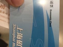 -龙阳路磁悬浮列车总站-停车场