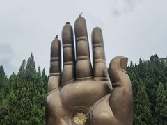 -龙口南山旅游景区