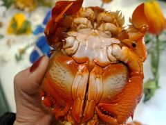 梭子蟹-芭菲盛宴·环球美食(解放碑英利国际店)