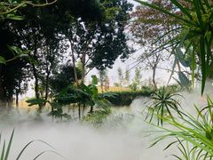 -东莞植物园
