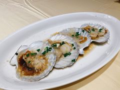 蒜蓉蒸扇贝-高佳庄·海鲜酒楼(东港店)