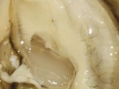 -Oyster Talks 四度蚝法餐厅