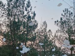 -天目湖涵田半山温泉