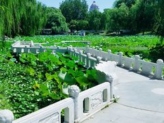 -东郊湿地公园