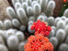 -南通洲际绿博园