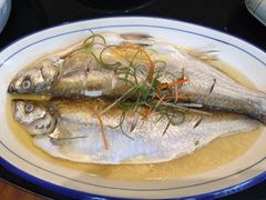清蒸白水鱼-锡和无锡菜(景丽苑店)