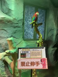 -Zoolung Zoolung动物主题公园(海信广场店)