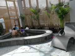 -白桦林温泉谷