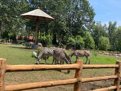 -大连森林动物园