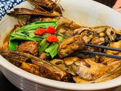 乾隆鱼头-皇饭儿·王润兴酒楼(河坊街店)