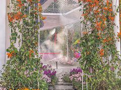 -广州市白云山风景名胜区