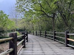 -苏州上方山国家森林公园