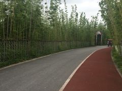 -上海长兴岛郊野公园