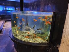 -王家渡火锅店(亦庄店)