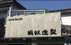 -蚂蚁造型沙龙