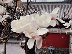 -妙应寺白塔