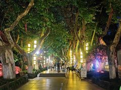 -杭州黄龙洞