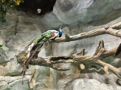 -Zoolung Zoolung动物主题公园(海信广场店)