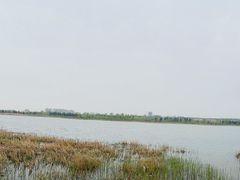 -绿堤公园