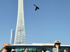 -广州塔(地铁站)