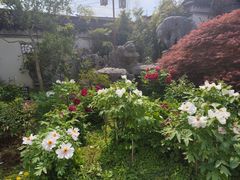 -苏州冶园园林民宿(太湖西山风景区店)