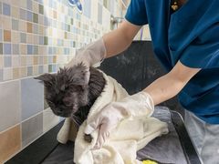 -全心全意连锁动物医院·特色中医诊疗(会城门分院)