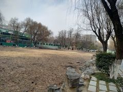 -莲湖公园