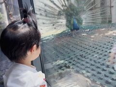 -芳草地度假酒店·野炉中餐厅