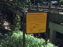 -普陀山慧济禅寺