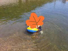 -白河湾生态旅游一条川