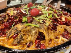 -老板恋上鱼(高新万达店)