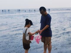 -奉贤海滩