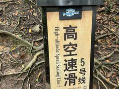 -梦幻奥陶纪景区