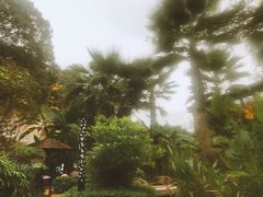 -汇雅温泉
