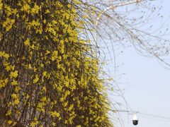 -玲珑塔公园