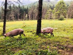 -硗碛藏寨·神木垒景区