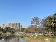 -堤角公园