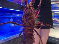 -協成海鮮火鍋(老店)