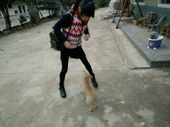 -杭州天目山静雅居农家乐