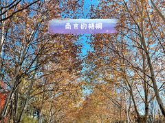 -钟山体育运动公园