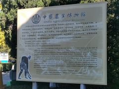 -中国农业博物馆