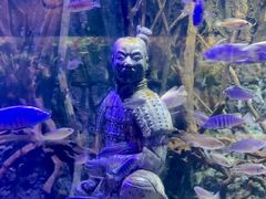 -华夏文旅海洋公园